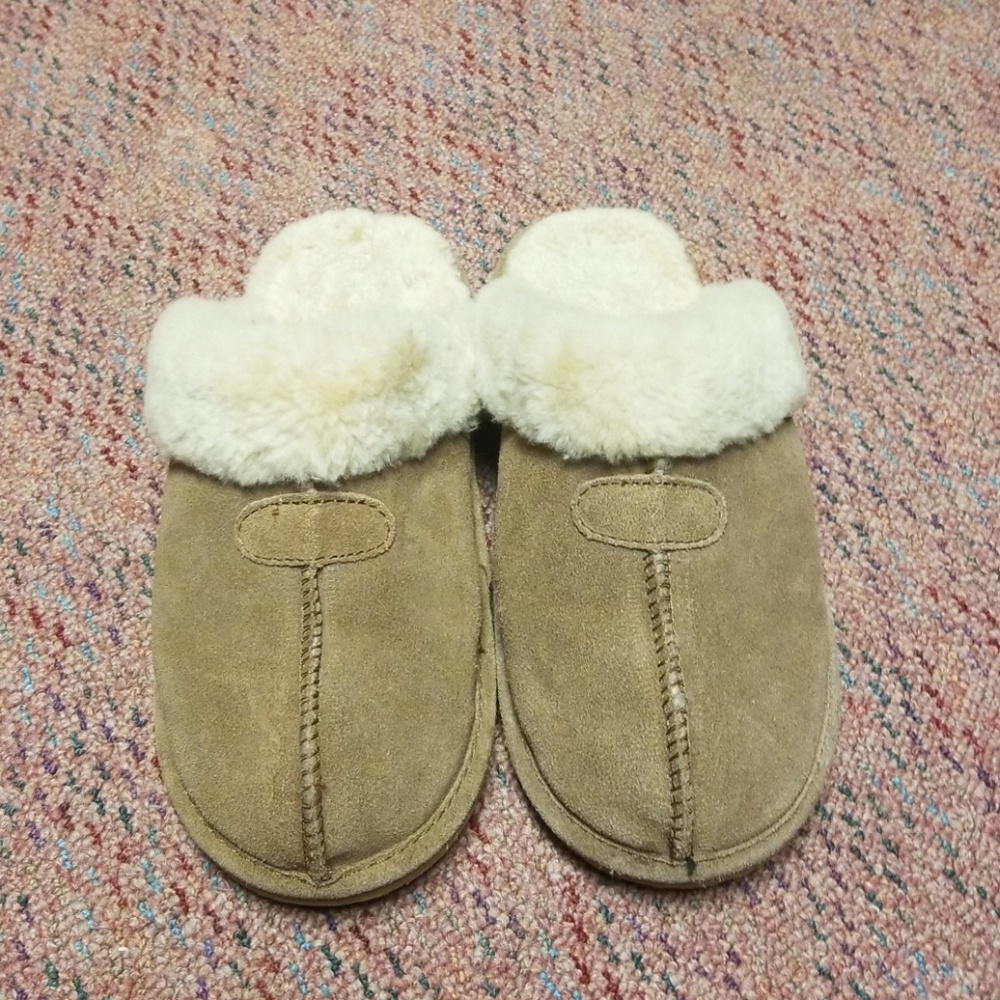 Bearpaw slipper shoes